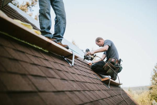 Ensuring Your Wellington Roof Stands Strong with Professional Contractors