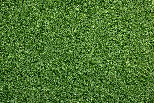 Pet-Friendly and Durable: Artificial Grass in Scottsdale