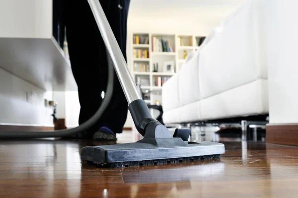 Tacoma Carpet Cleaning Services for Pet Stains and Odor Removal