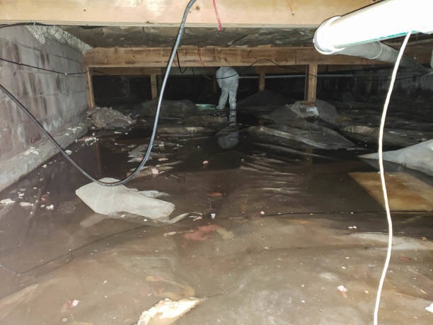 Professional Snellville Water Damage Restoration Services for Any Disaster