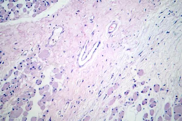 Advances in Medicine Every Gastroenterologist Wants You to Know