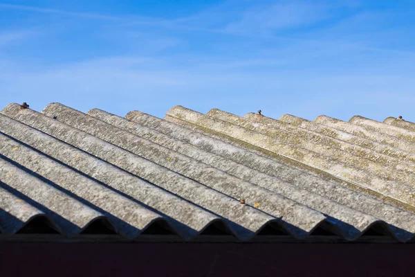 Trusted Asbestos Surveyor Near Me Fast and Accurate Reports