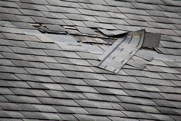Top Roofing Contractor Reviews Who’s the Most Reliable