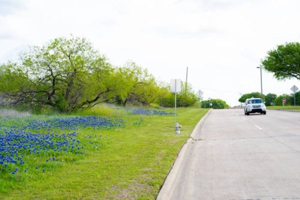 How Regular Mowing Helps Maintain Lawns in Little Elm, Texas