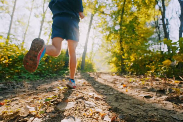 The Connection Between Structure and Sustainable Health