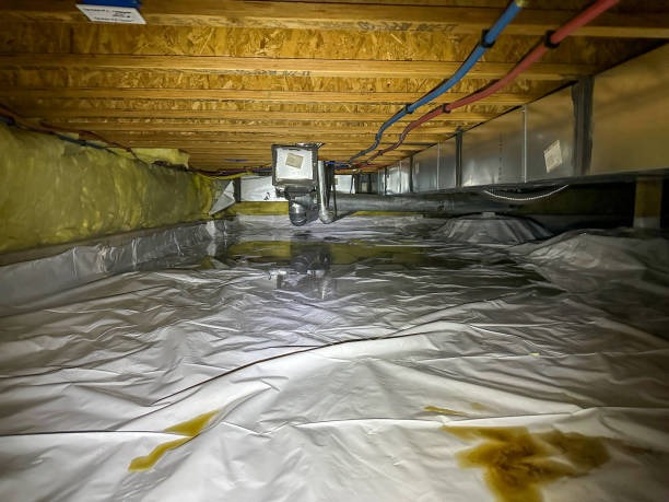 Expert Solutions from a Leading Local Crawlspace Company