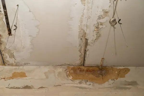 Best Water Damage Repair Company for Emergency Needs