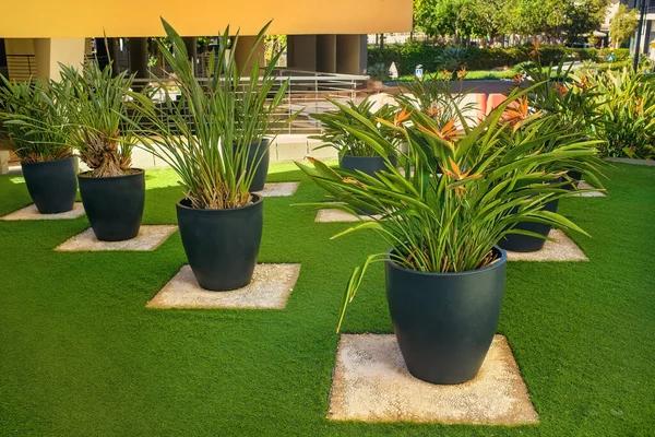 The Everlasting Allure of Botanical Gardens